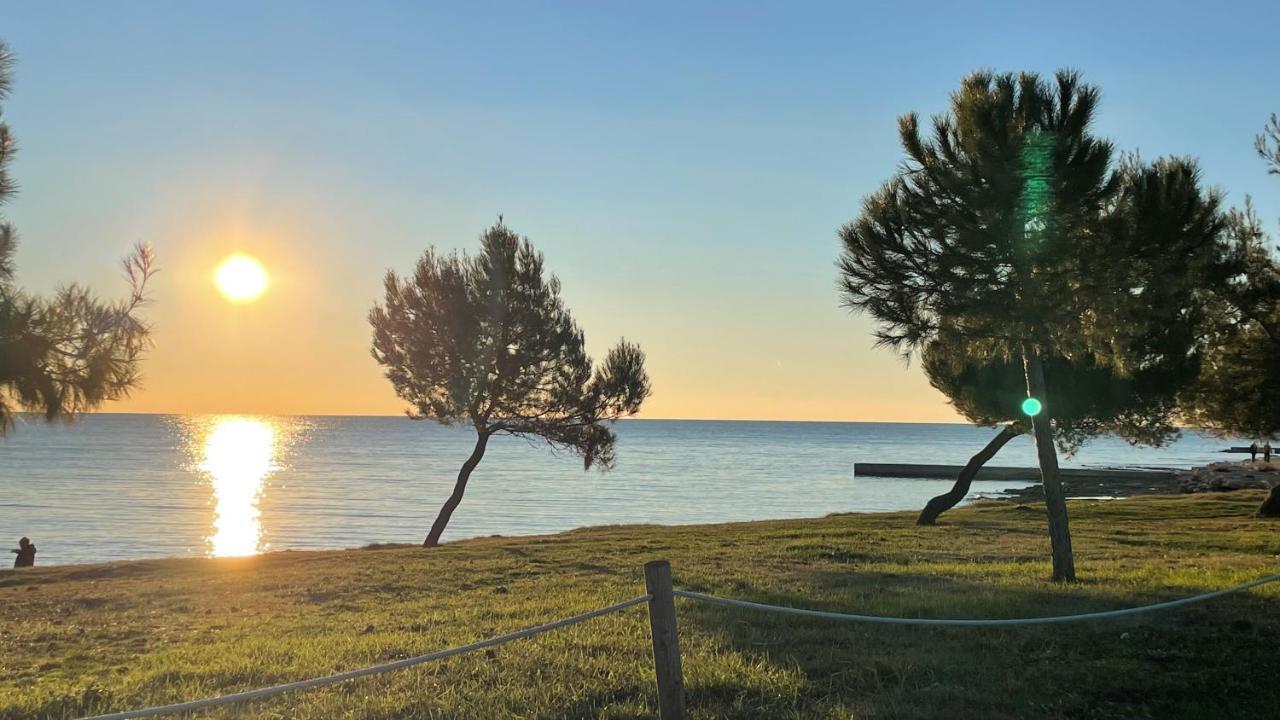 Iva Apartments Novigrad Istria Exteriör bild