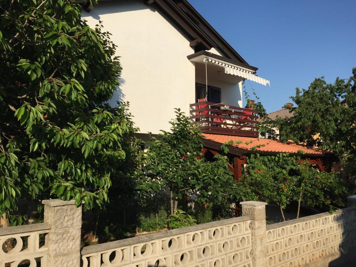 Iva Apartments Novigrad Istria Exteriör bild