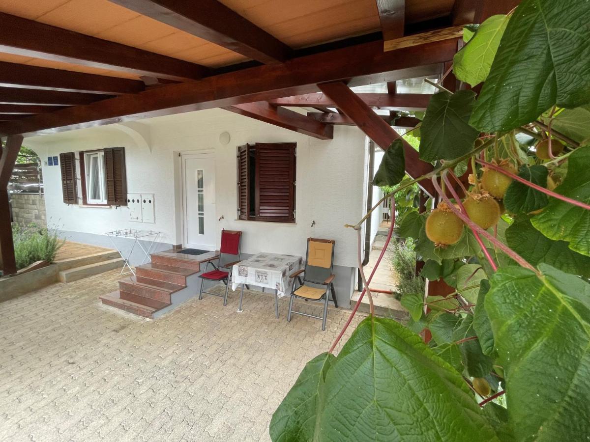 Iva Apartments Novigrad Istria Exteriör bild