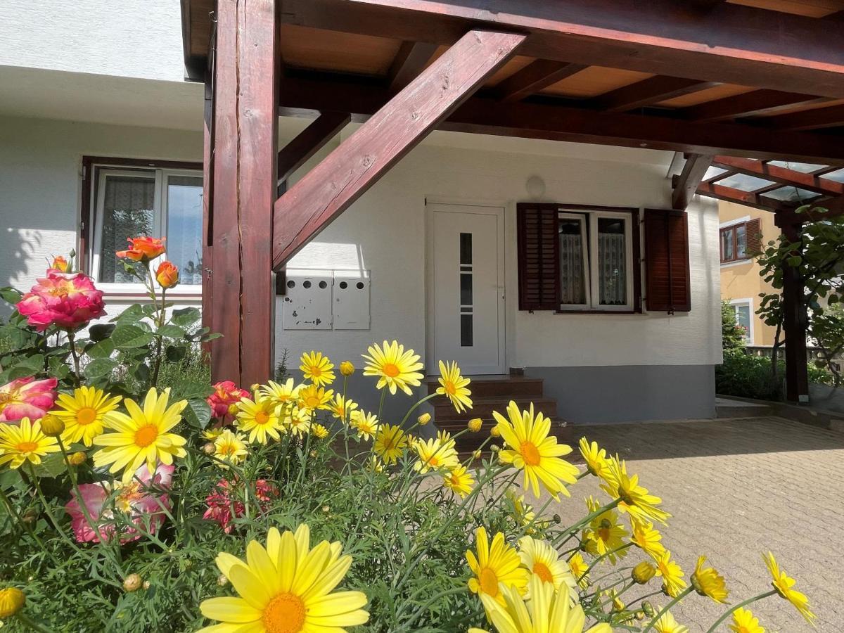 Iva Apartments Novigrad Istria Exteriör bild